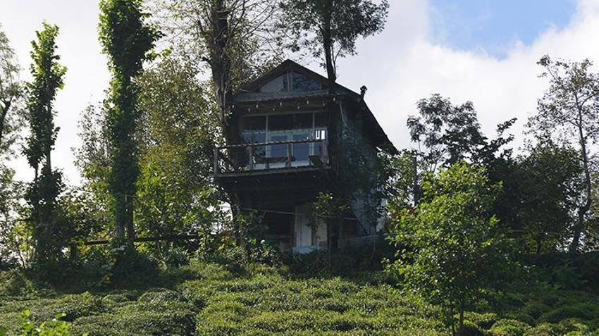 Rizeli kardeşler çocukluk hayalini gerçekleştirdi! Geri dönüşümün içinde hayat kurdular