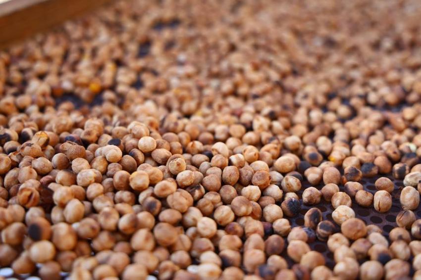 Elazığlı kadınlar kooperatif kurup üretime başladı: 'Türkiye'nin her yerine kargo gönderiyoruz'