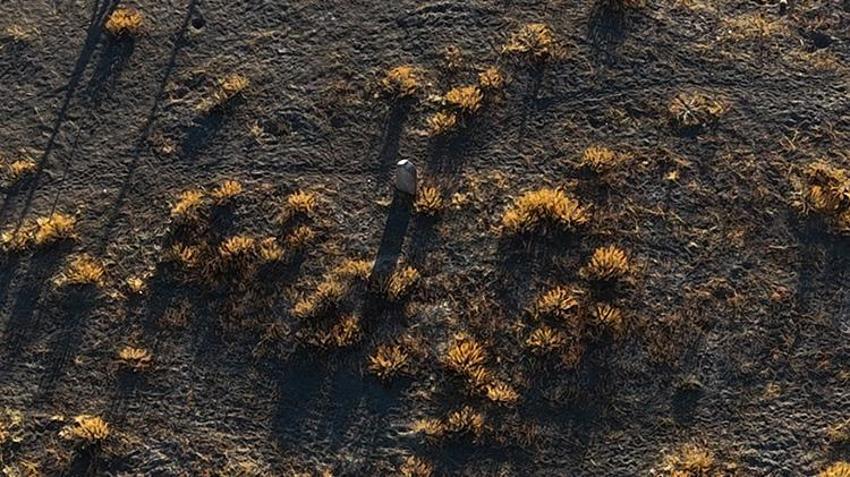 Çatalhöyük'te Güllü Ayşa'nın 'Yalnız Mezarı'nın hüzünlü hikayesi! Köy mezarlığına gömülmesine izin verilmedi, nedenini Danimarkalı arkeolog ortaya çıkardı