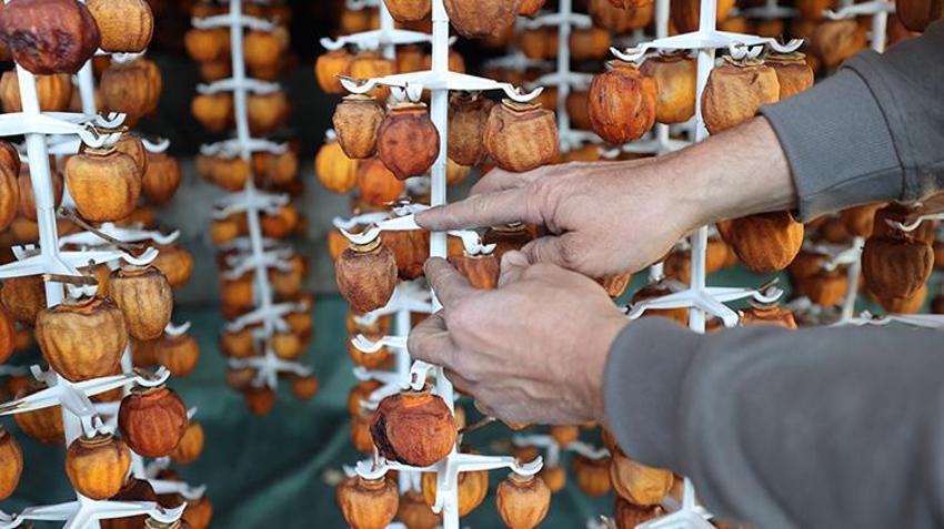Nevşehirli girişimciler parayı cennet hurmasında buldu! Hayvancılığı bırakıp bu işe girdiler