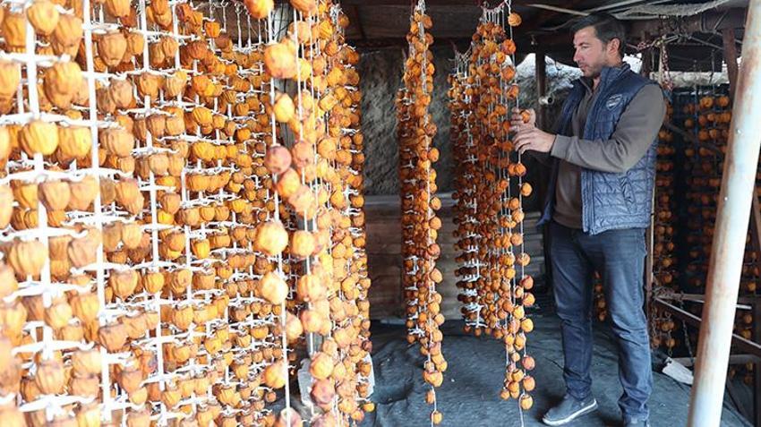 Nevşehirli girişimciler parayı cennet hurmasında buldu! Hayvancılığı bırakıp bu işe girdiler