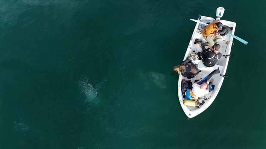 Sakarya Sapanca Gölü'nde endişelendiren görüntüler! Deprem habercisi mi? Uzman isim açıkladı