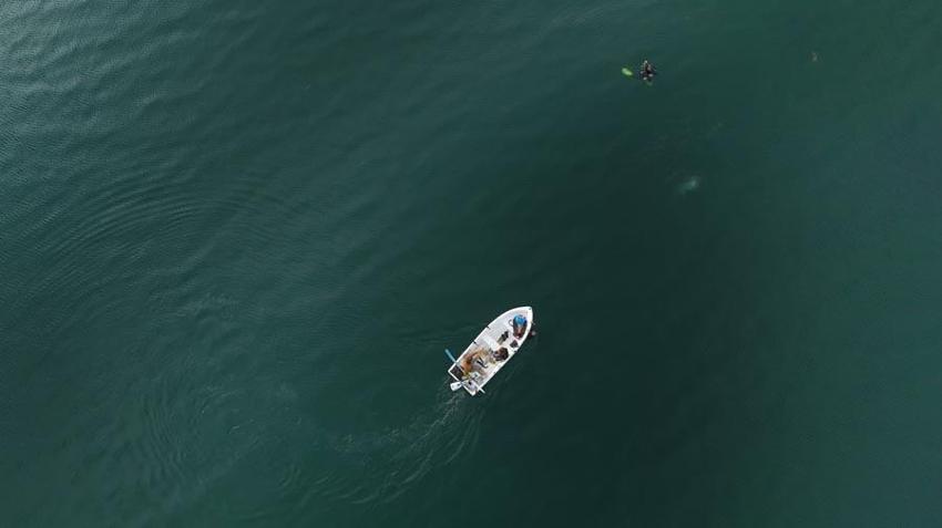 Sakarya Sapanca Gölü'nde endişelendiren görüntüler! Deprem habercisi mi? Uzman isim açıkladı