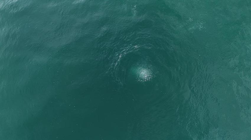 Sakarya Sapanca Gölü'nde endişelendiren görüntüler! Deprem habercisi mi? Uzman isim açıkladı