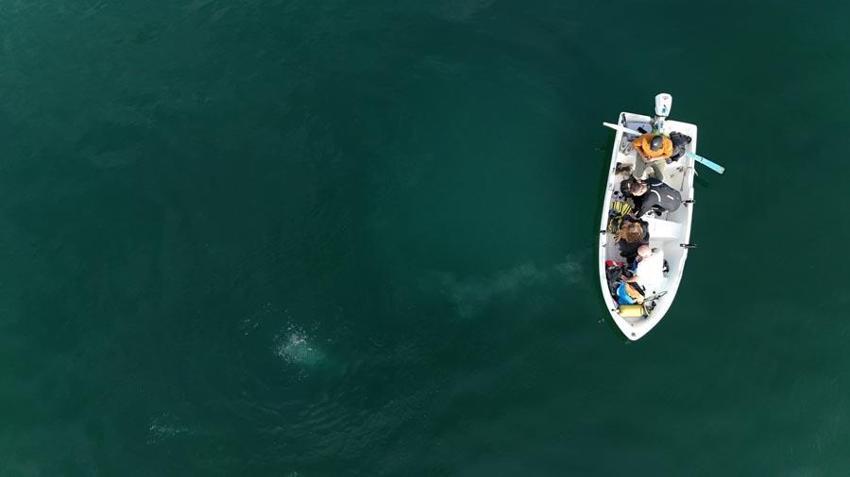 Sakarya Sapanca Gölü'nde endişelendiren görüntüler! Deprem habercisi mi? Uzman isim açıkladı