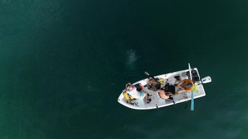 Sakarya Sapanca Gölü'nde endişelendiren görüntüler! Deprem habercisi mi? Uzman isim açıkladı