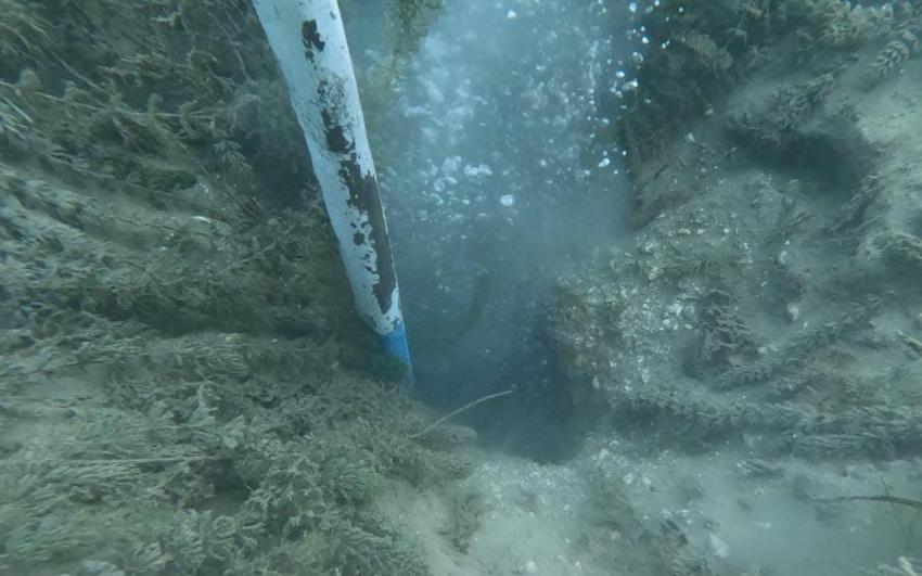 Sakarya Sapanca Gölü'nde endişelendiren görüntüler! Deprem habercisi mi? Uzman isim açıkladı