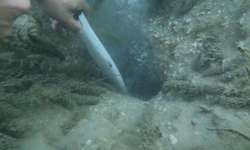 Sakarya Sapanca Gölü'nde endişelendiren görüntüler! Deprem habercisi mi? Uzman isim açıkladı