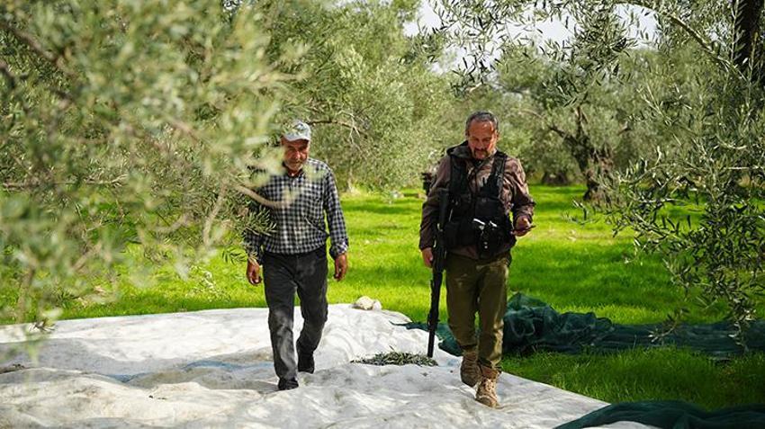 Çanakkale'de 12 bin dönüm araziye 'Dronlu bekçi' kalkanı: 2 yılda hırsızlık tarihe karıştı! 'Haftanın 7 günü nöbette'