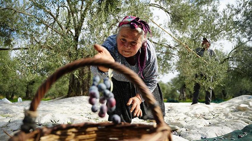 Çanakkale'de 12 bin dönüm araziye 'Dronlu bekçi' kalkanı: 2 yılda hırsızlık tarihe karıştı! 'Haftanın 7 günü nöbette'