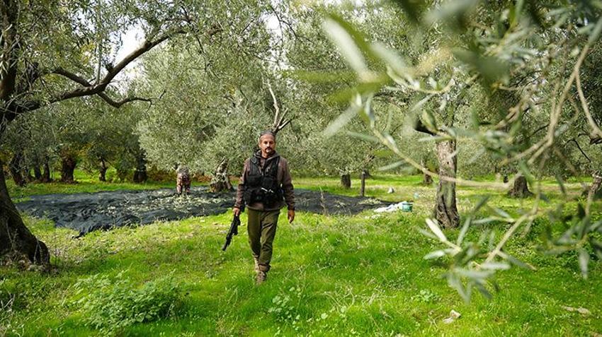 Çanakkale'de 12 bin dönüm araziye 'Dronlu bekçi' kalkanı: 2 yılda hırsızlık tarihe karıştı! 'Haftanın 7 günü nöbette'