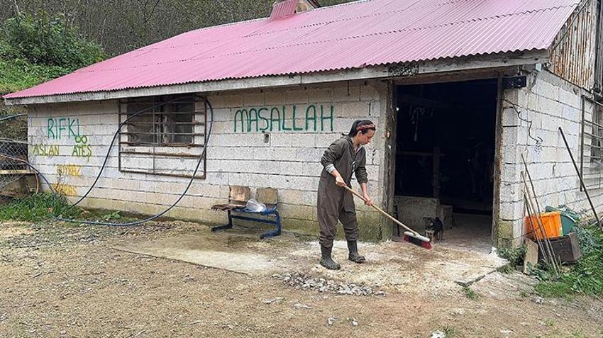 Giresunlu genç çift İstanbul'u terk edip köylerinde çiftlik kurdu! 5 hayvanla başlayıp 2 yılda sayıyı 8 katına çıkardılar