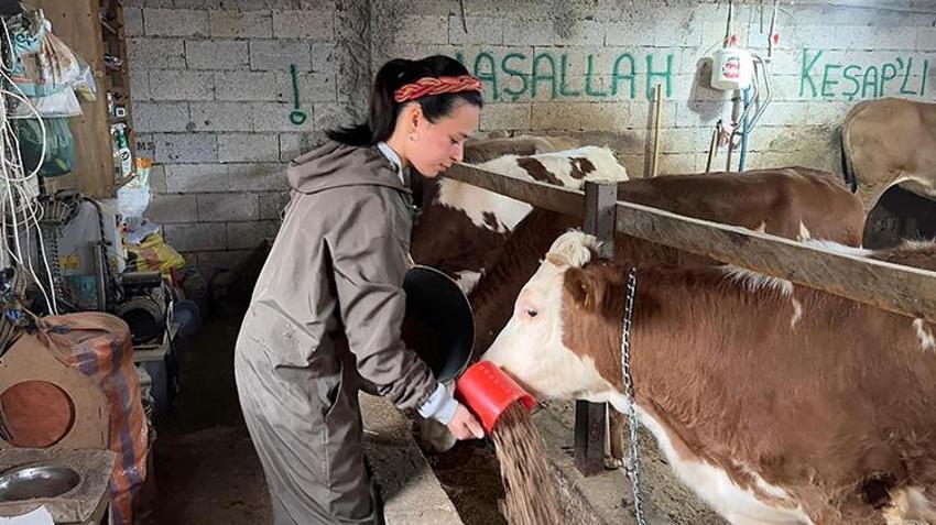 Giresunlu genç çift İstanbul'u terk edip köylerinde çiftlik kurdu! 5 hayvanla başlayıp 2 yılda sayıyı 8 katına çıkardılar