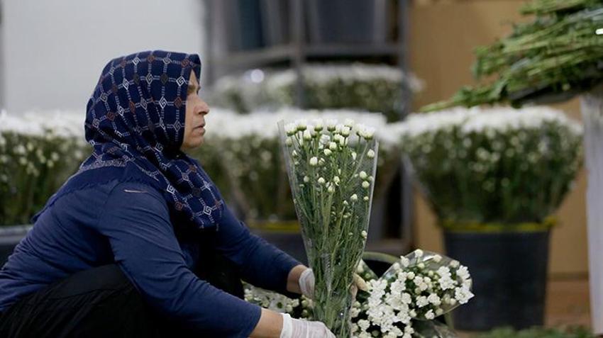 İhracat rekoru geldi! Türk çiçekçilik sektörü 137 milyon doları aştı: 80 ülkeye gönderiliyor