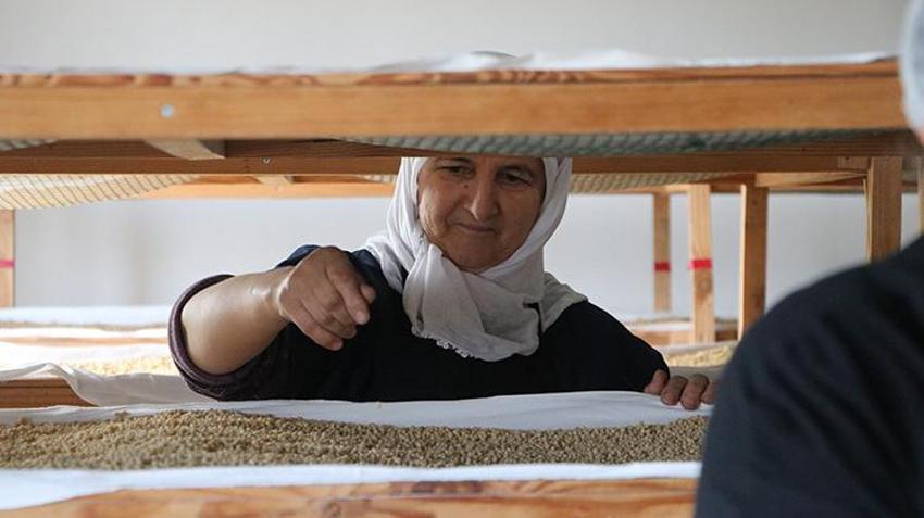 Edirneli kadın girişimci memleketinin lezzetlerini markaya dönüştürdü! 20 kadınla ürettiği 50 çeşit ürünü Türkiye'nin dört bir yanına ulaştırıyor