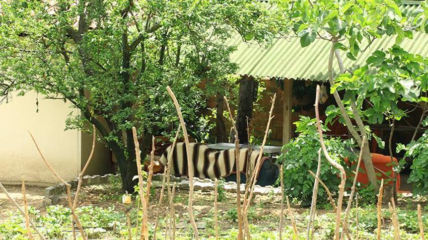 Tokat'taki bağ evi patlamasının tanığı: Patronumu piknik tüpü ve demir parçalarıyla gördüm! 1 kişi ölmüş 6 asker de yaralanmıştı