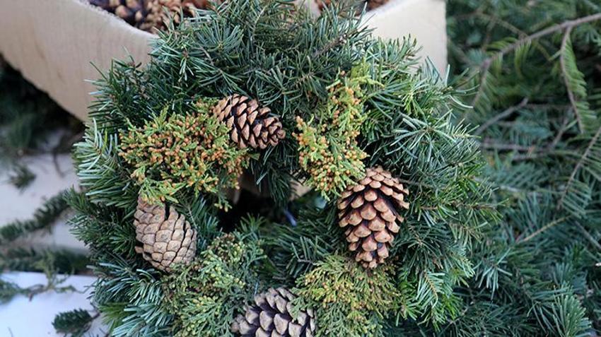 Antalya'da orman atıkları geçim kapısı oldu! Yüzlerce aile Noel çelengi üreterek talebe yetişmeye çalışıyor