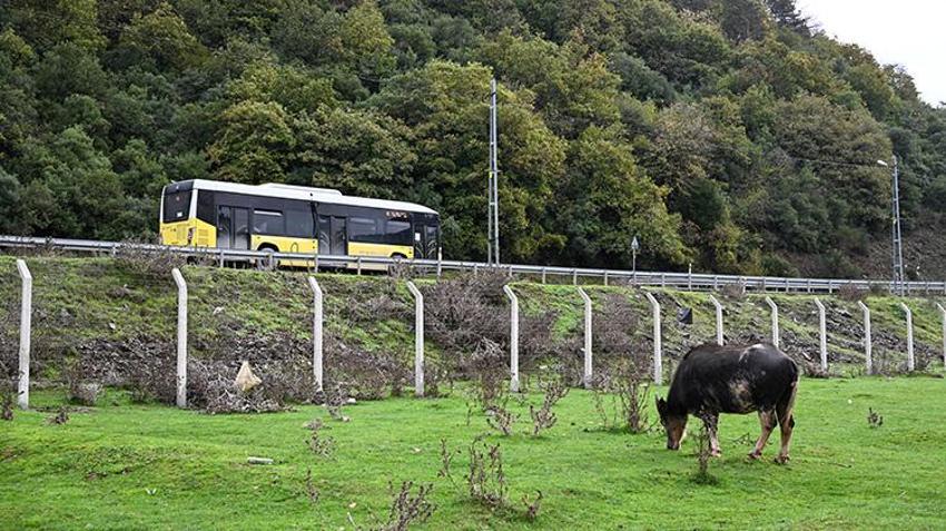 İstanbul'un göbeğinde köy hayatı yaşıyorlar! Stresten uzak tamamen organik yaşam