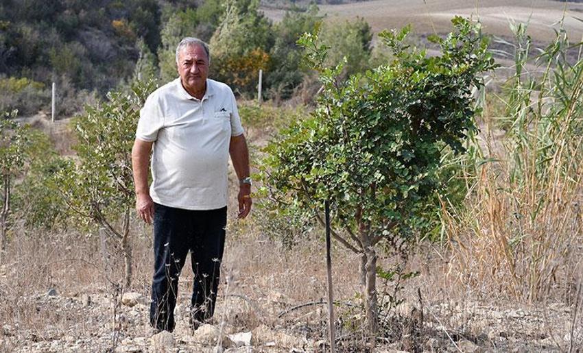 Mühendis emekli olunca yapılmayanı yaptı! Devletten 156 dönüm kiraladı, resmen para basacak