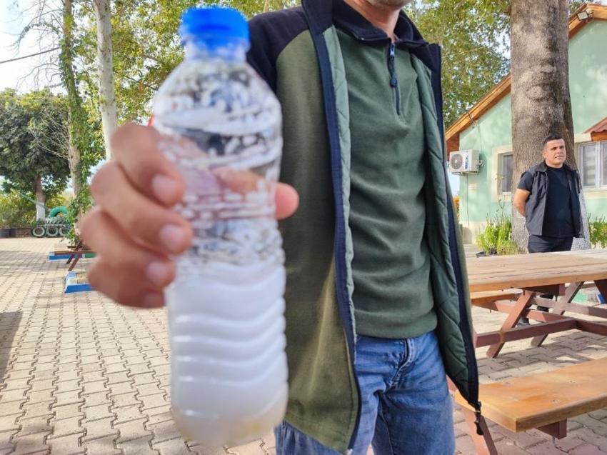 Tropikal iklimde yetişen bitkiyi Adana'da ektiler: Kabuğu suyu görünce köpürmeye başlıyor! Beklenenden 2 yıl önce meyve vermeye başladı: Endüstride kullanılacak