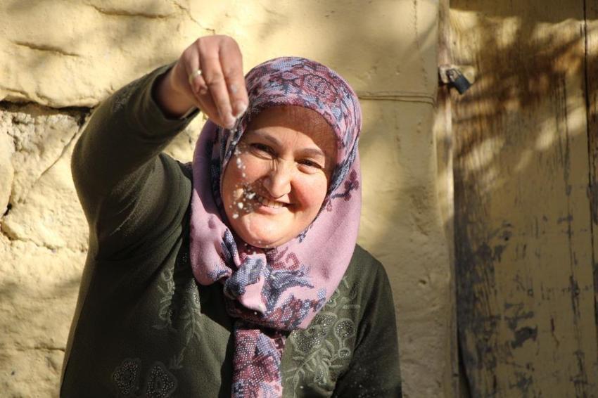 Amasya'da altın günü yok yufka günü var!