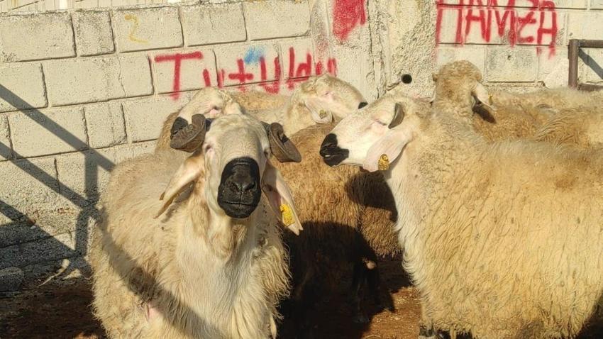 Yozgat'ta 2 ay sonra açıldı! Yoğunluk yaşandı