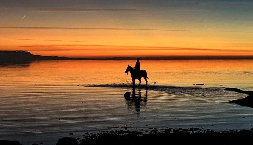 Van Gölü'nde gün batımı nefes kesen görüntüler oluşturdu