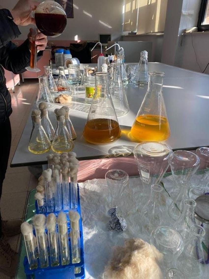 Malatya'ya özgü endemik bitki incelendi ortaya çarpıcı özellikler çıktı: Yüzde 90'ını etkisiz hale getirebiliyor