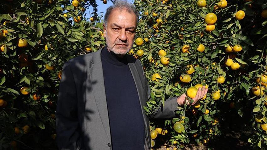 Kilosu 2 TL'ye düştü, üreticiler tonlarca ürünü bedava dağıttı!