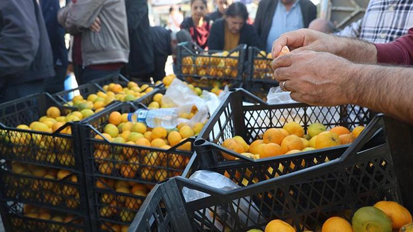 Kilosu 2 TL'ye düştü, üreticiler tonlarca ürünü bedava dağıttı!