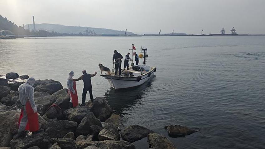 10 ton hamsi bedava dağıtıldı! Uzun kuyruklar oluştu