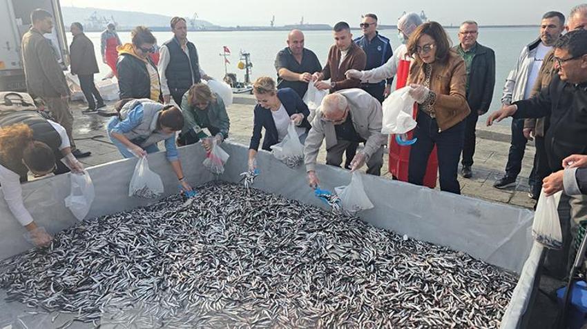 10 ton hamsi bedava dağıtıldı! Uzun kuyruklar oluştu