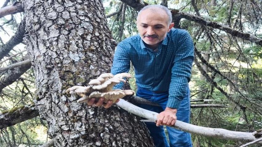 Konya’da sabah saatlerinde başlayan hareketlilik! Akın akın gidiyorlar
