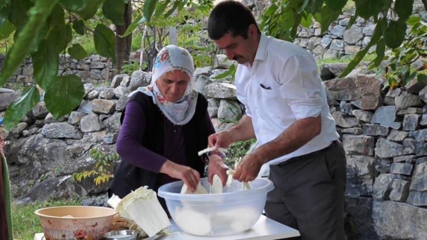 Erzurum'un yaylalarından sofralara geliyor! Göğermiş peyniri doğal antibiyotik deposu
