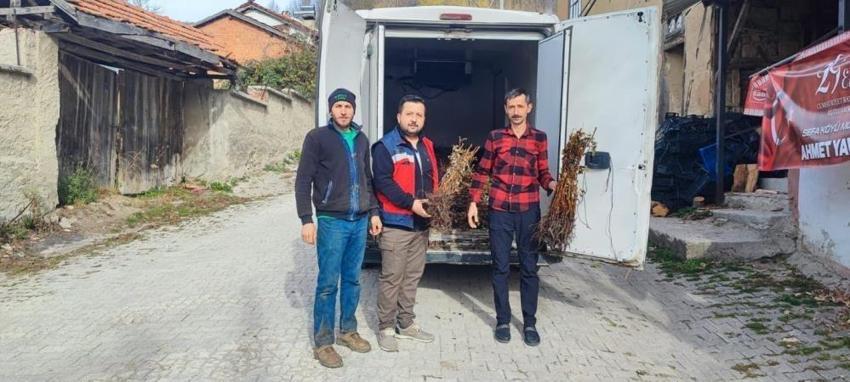 Kütahya'da 3 bin tane dağıtıldı! Yüzde 75'i devlet destekli