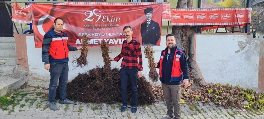 Kütahya'da 3 bin tane dağıtıldı! Yüzde 75'i devlet destekli