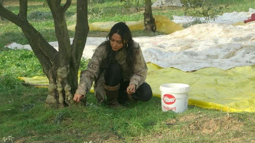 Muğla'ya dönüp baba mesleğini yaptı: Genç kadın huzuru toprakta buldu