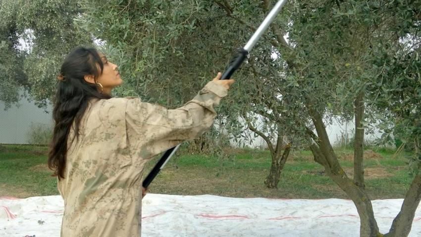 Muğla'ya dönüp baba mesleğini yaptı: Genç kadın huzuru toprakta buldu