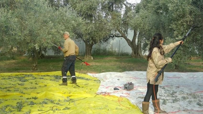 Muğla'ya dönüp baba mesleğini yaptı: Genç kadın huzuru toprakta buldu