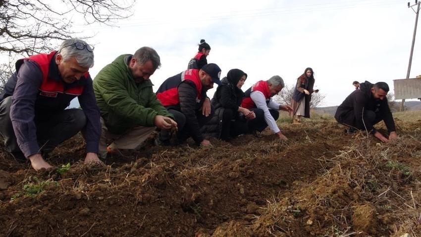 Kastamonu'da kadınlar için üretildi: Ücretsiz 38 bin adet verildi