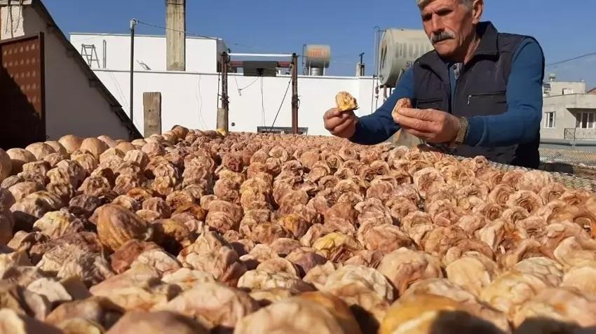 Adana'da 5 ton ürünü 1 yılda aldı: Komşularına iş vermeye başladı! Kozan'da açık havaya fabrika kurdu