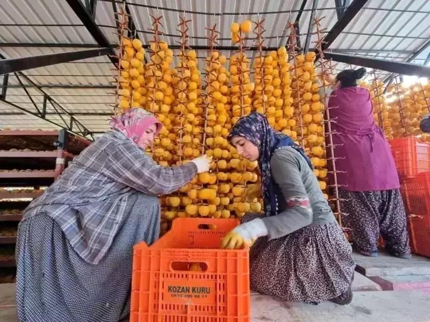 Adana'da 5 ton ürünü 1 yılda aldı: Komşularına iş vermeye başladı! Kozan'da açık havaya fabrika kurdu
