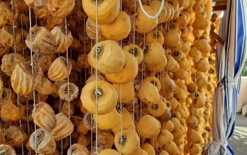 Adana'da 5 ton ürünü 1 yılda aldı: Komşularına iş vermeye başladı! Kozan'da açık havaya fabrika kurdu