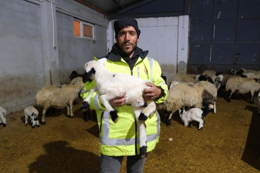 Devletten aldığı hibe desteğiyle hayatı değişti! Erzincanlı üretici 8 milyon TL’lik çiftlik kurdu