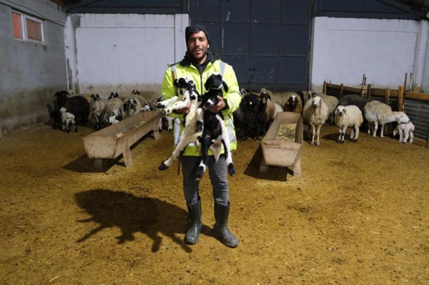 Devletten aldığı hibe desteğiyle hayatı değişti! Erzincanlı üretici 8 milyon TL’lik çiftlik kurdu