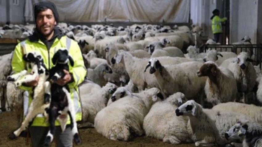 Devletten aldığı hibe desteğiyle hayatı değişti! Erzincanlı üretici 8 milyon TL’lik çiftlik kurdu