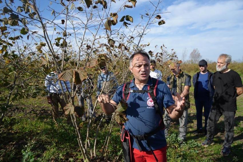 Samsun'da 500 metrekareden alınan verim 10 dönümü geçiyor!