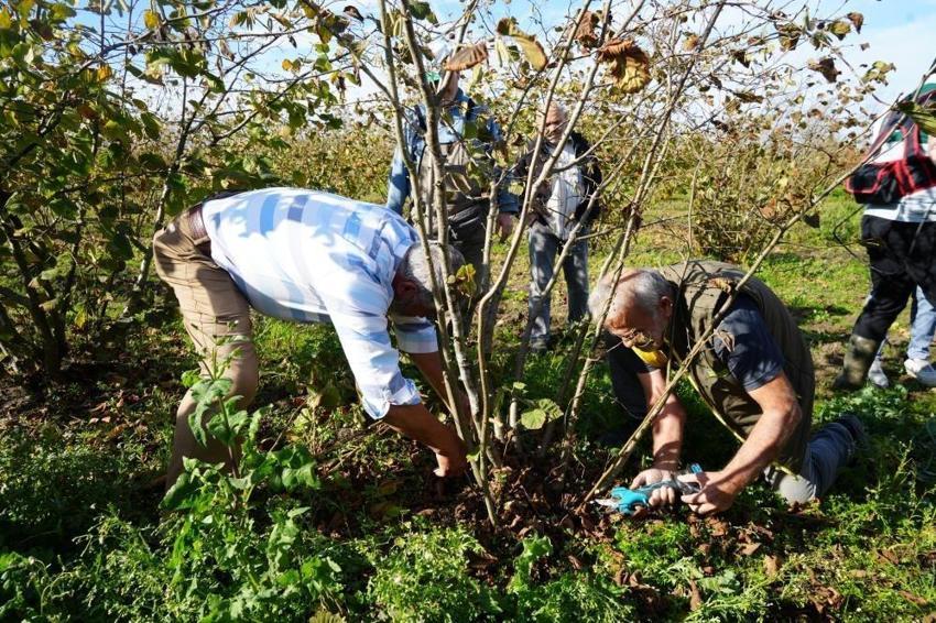 Samsun'da 500 metrekareden alınan verim 10 dönümü geçiyor!