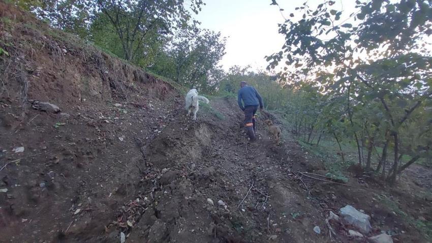 Sakarya Hendek'te bir mahallenin başı dertte! Evler yamuldu, yollar metrelerde aşağı çöküyor: 'Kalıcı çözüm istiyoruz'