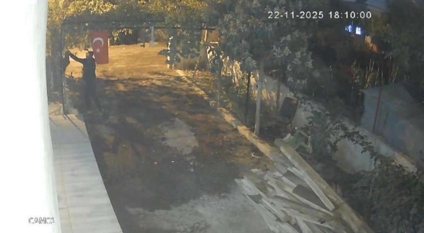 Osmaniye'de pes dedirten hırsızlık! Çamaşır ipiyle geldi, komşusunun mavi yumurtlayan tavuğunu tişörtünün içine saklayıp kaçtı